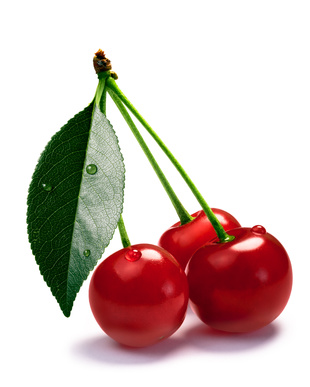 Sour cherries (Prunus cerasus) with leaf. Clipping paths, shadow isolated